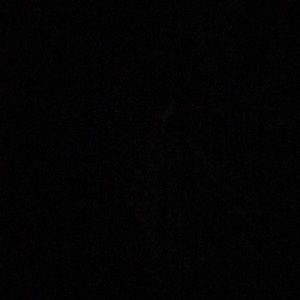 Meet your Posher, Denvil